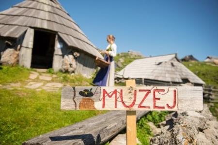 Preskarjev muzej
